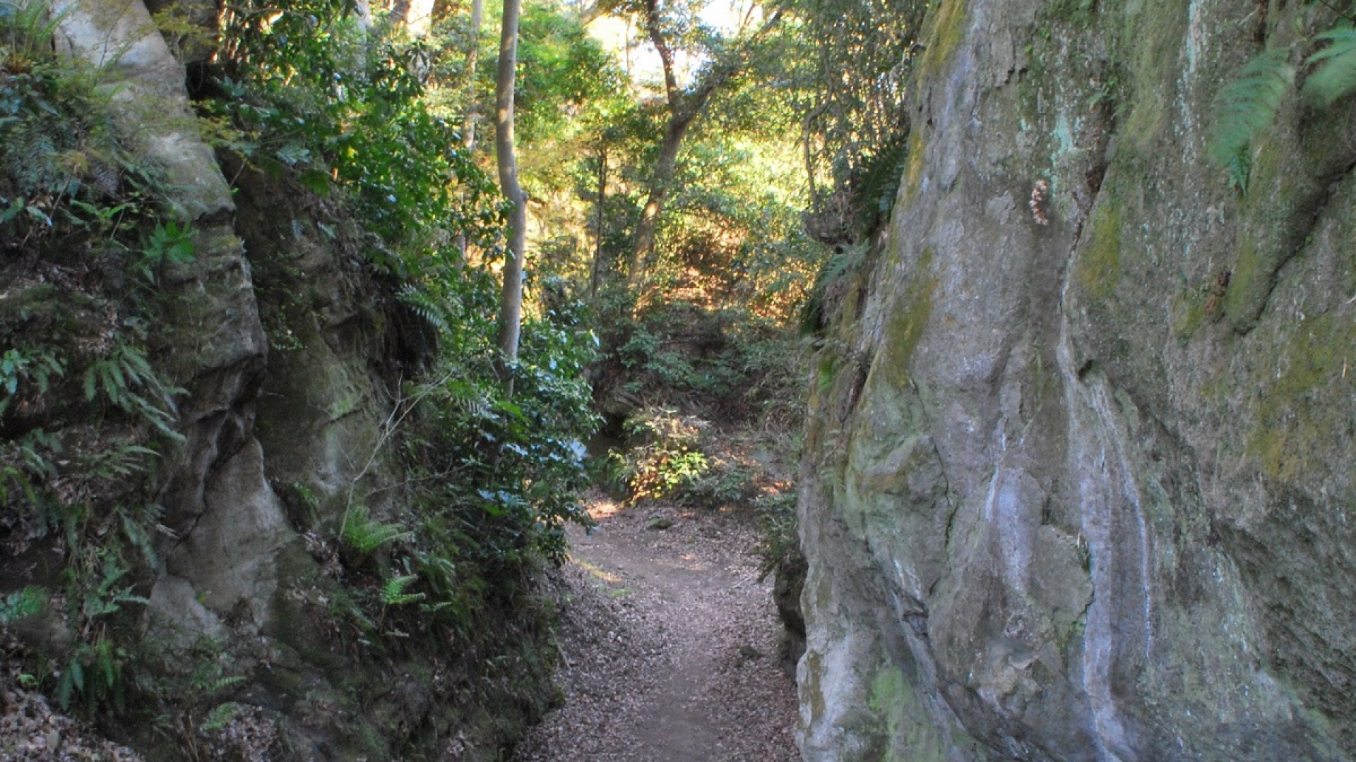 Daibutsu Kiridoushi (đường mòn xuyên núi)