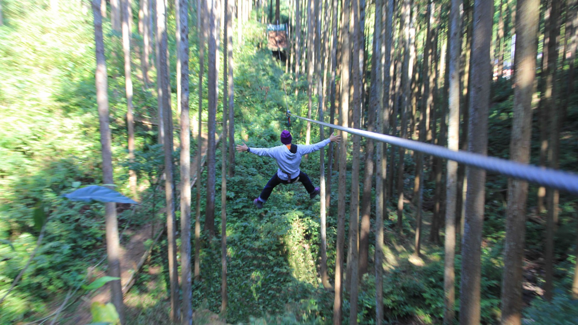 Công viên Forest Adventure, Odawara
