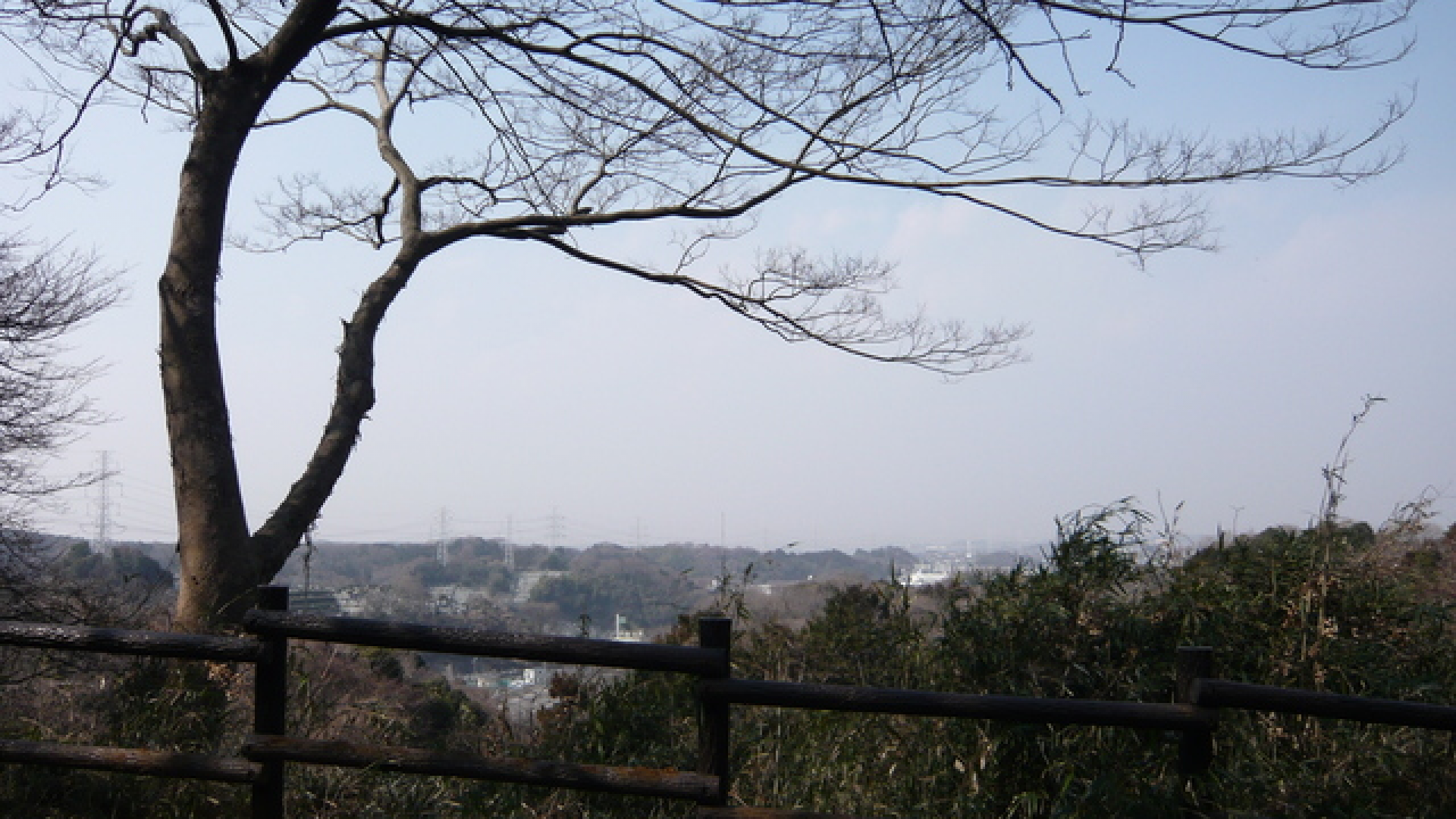 Shizakai Park