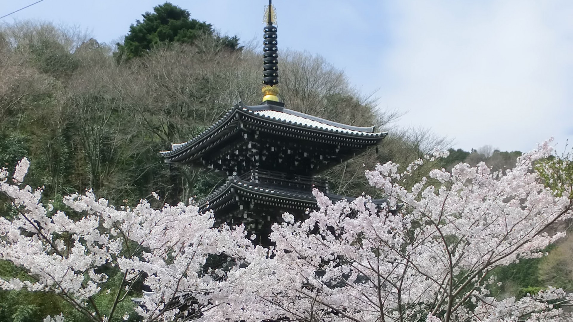 Temple Johotsugan-ji 
