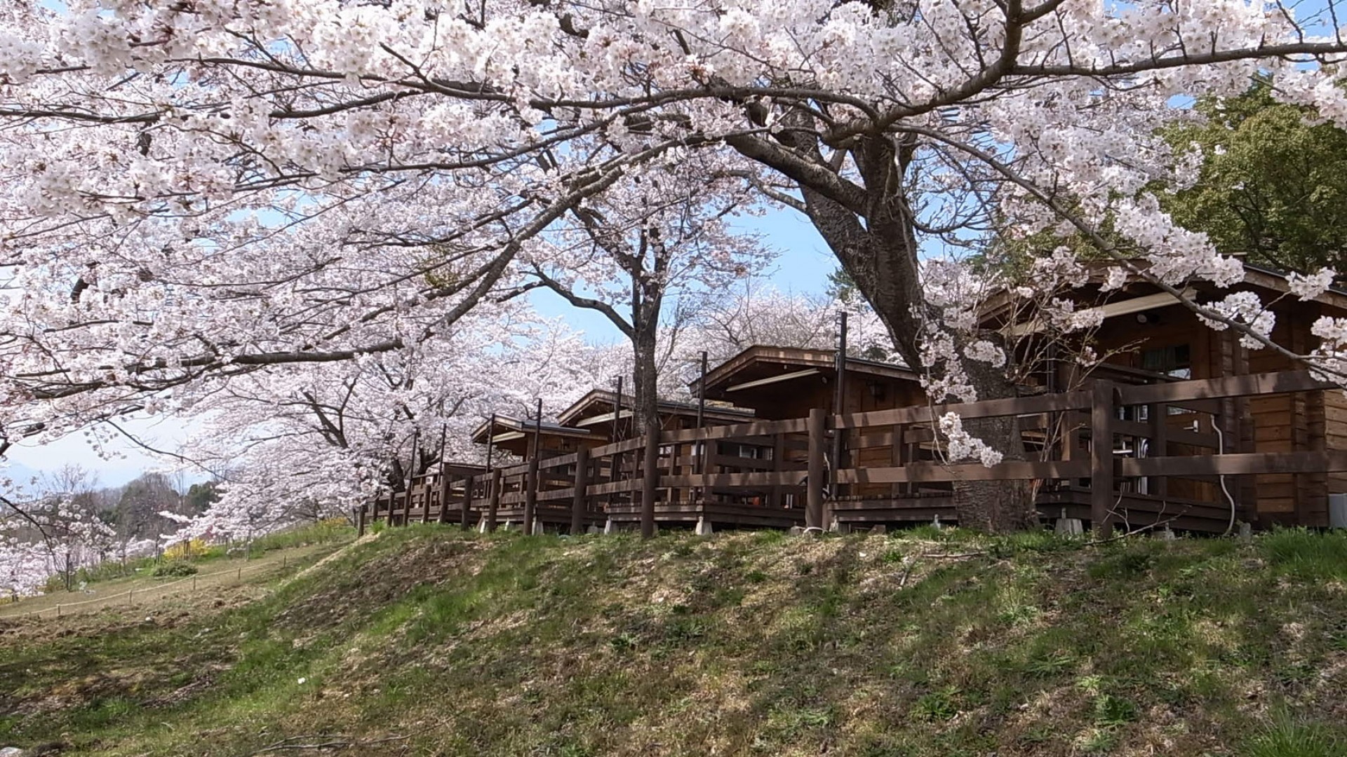 PICA Lago Sagami (Camping del Oso Paddington)