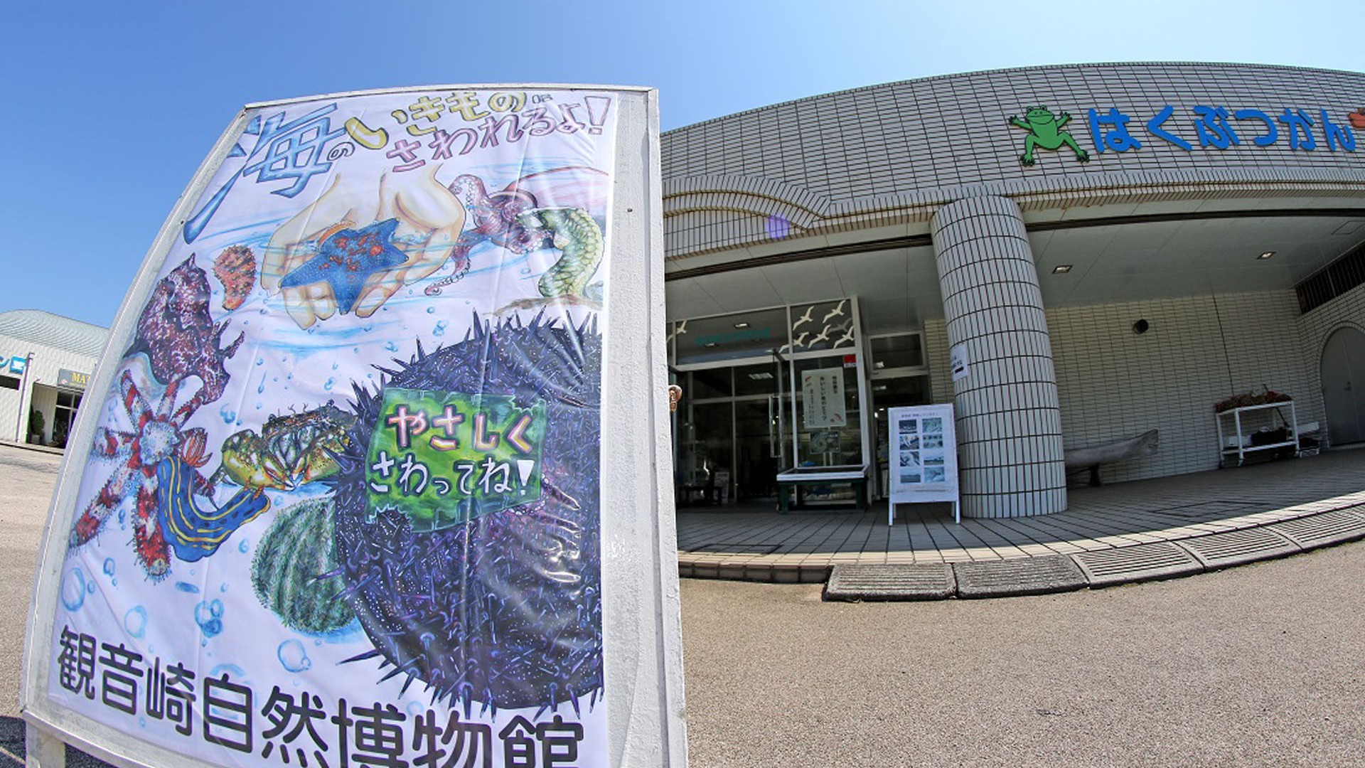 Musée de la nature de Kannonzaki