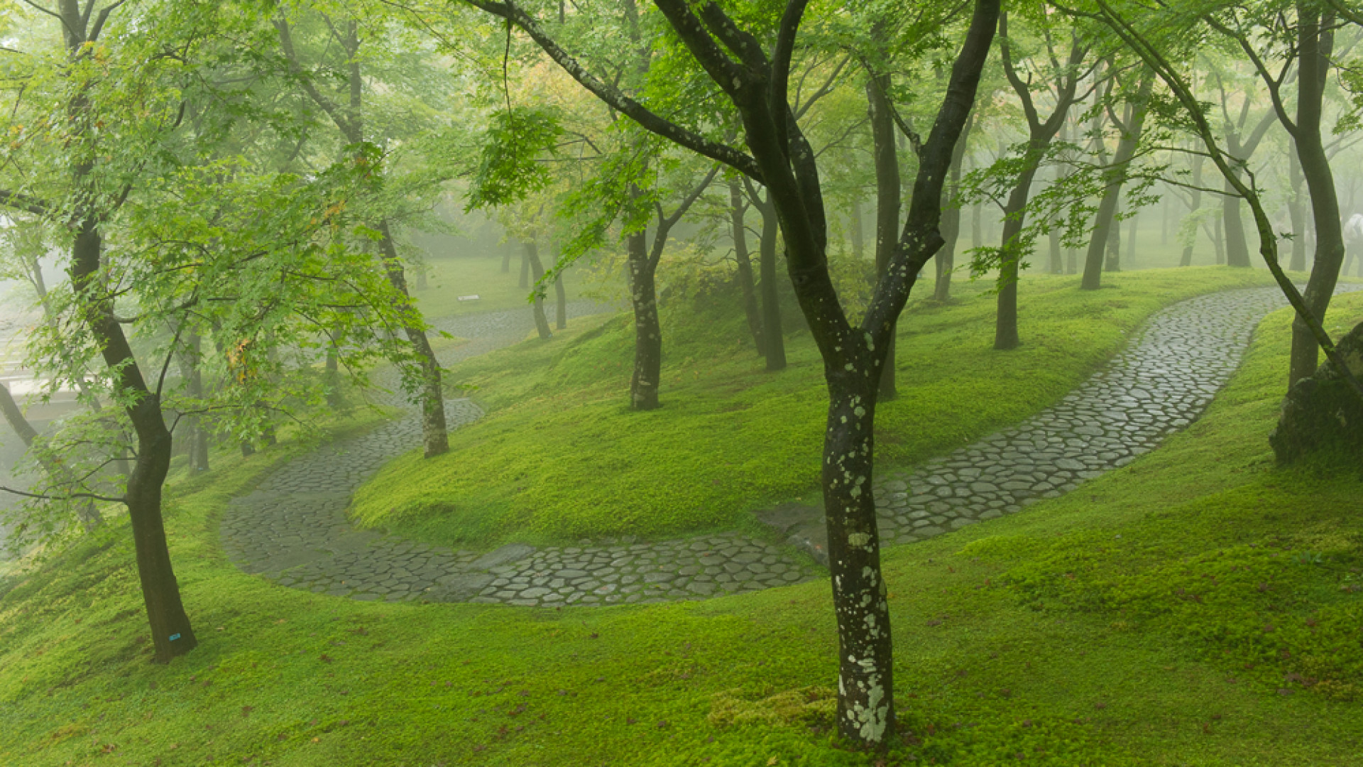 Bảo tàng Nghệ thuật Hakone