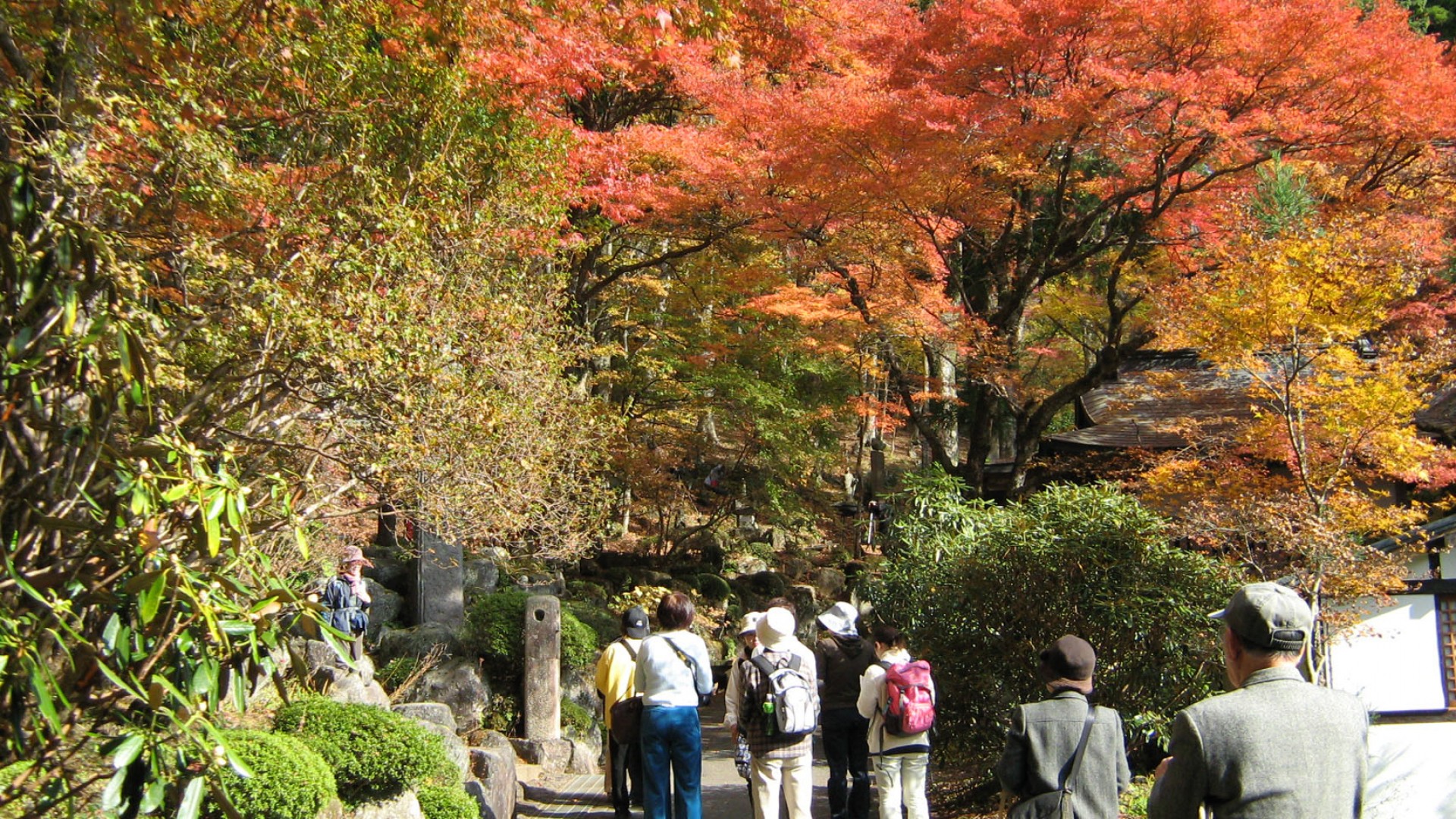 仙石原長安寺