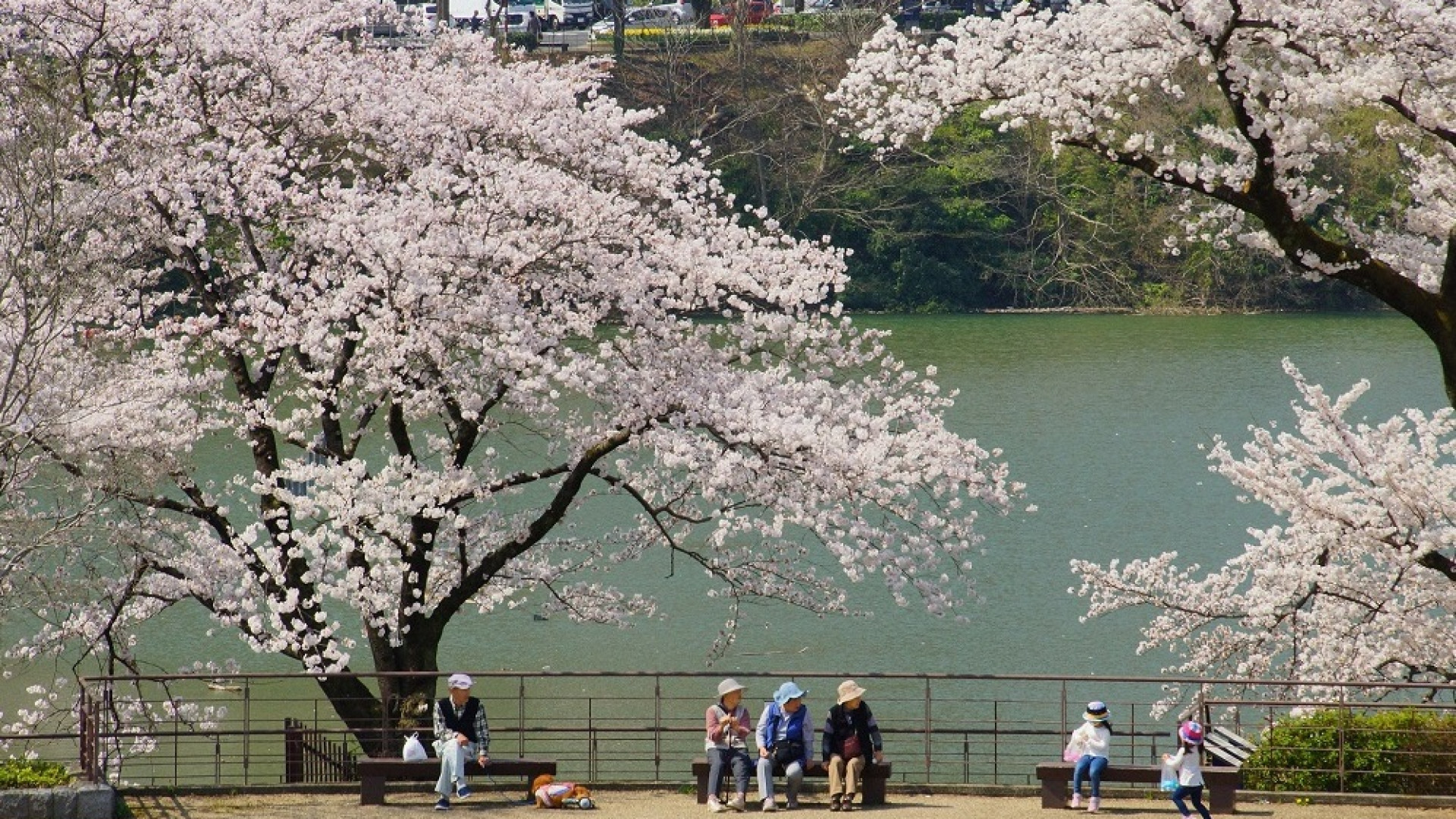 Lake Tsukui