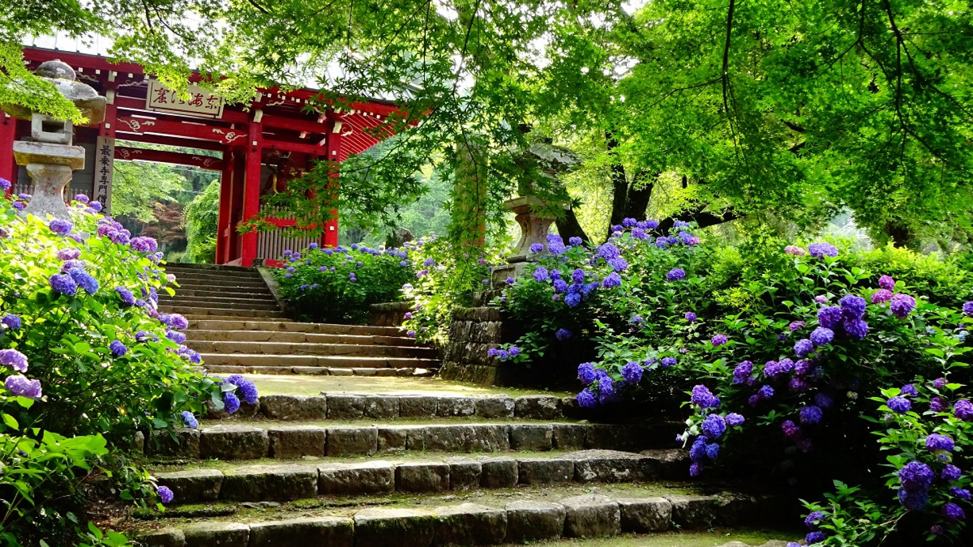 Temple Daiyūzan Saijō-ji