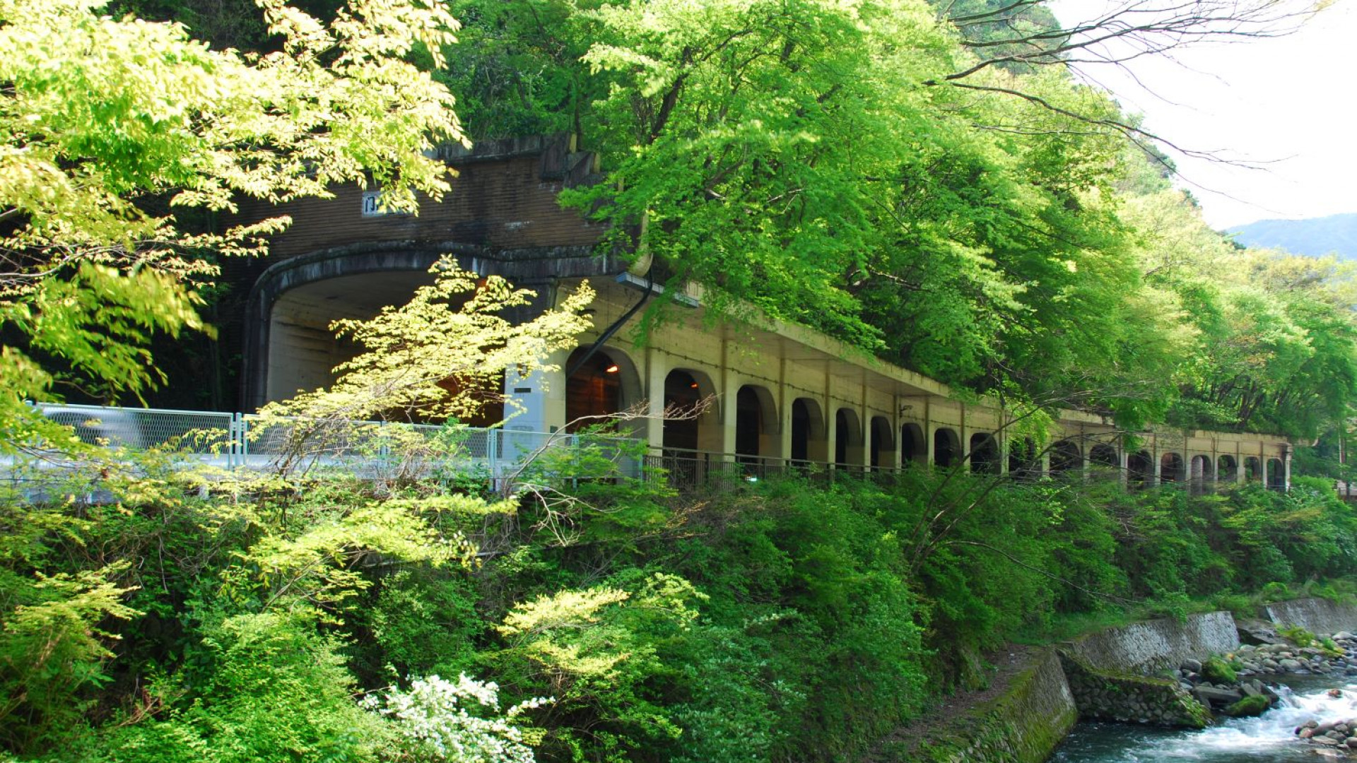 箱根の歴史的道路散策