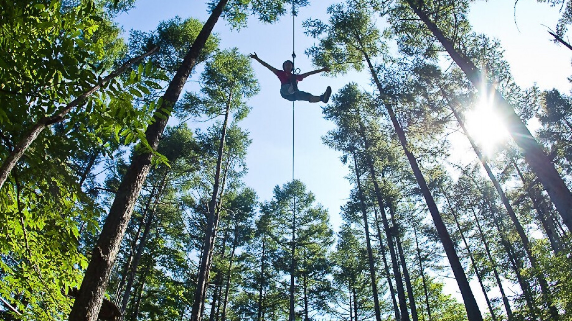 Forest Adventure森林冒險 橫濱