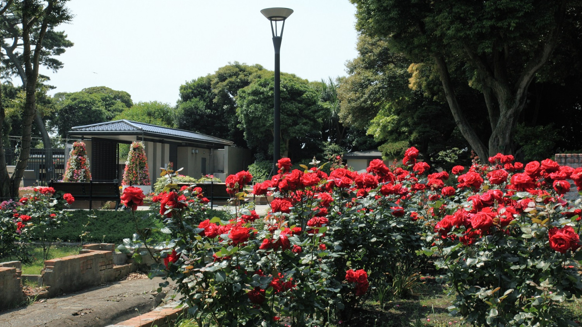 Le jardin Samuel Cocking à Enoshima