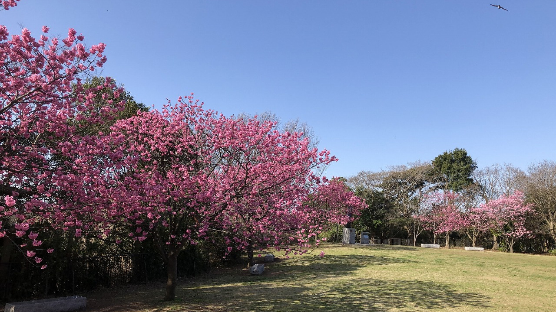 Honmoku Sancho Park