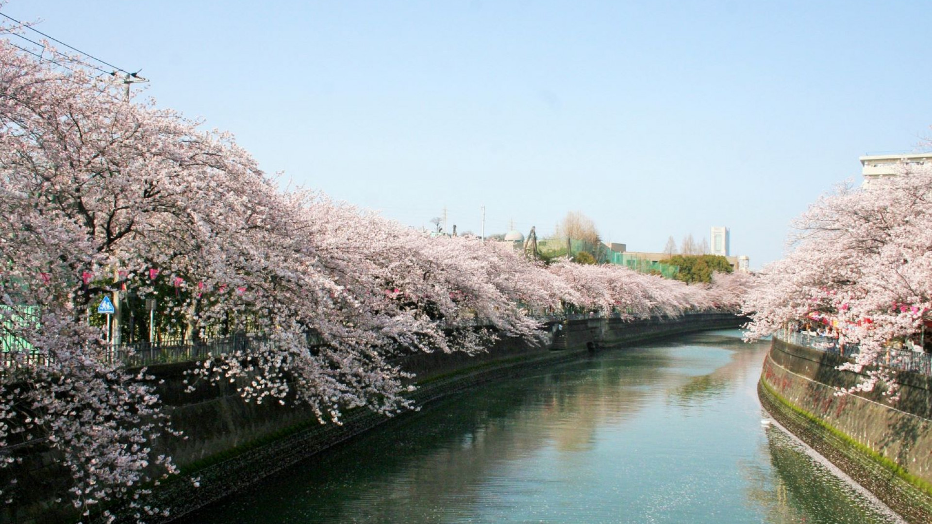 Promenade le long de la rivière Ooka