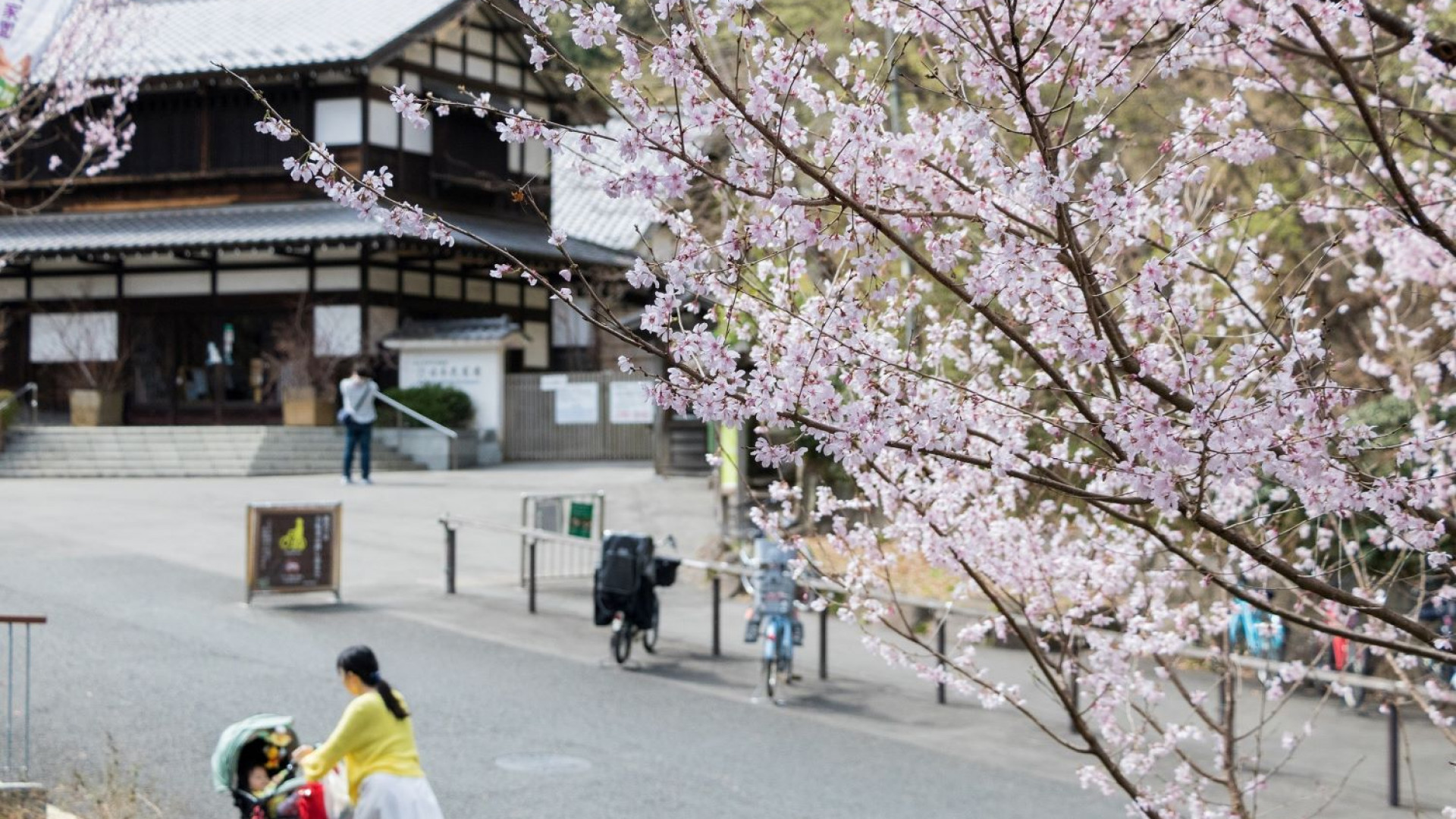 Ikuta Green Space