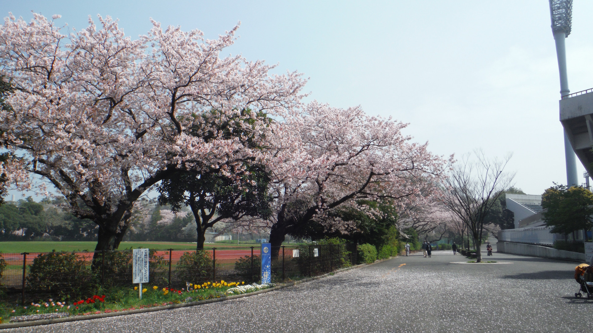 三澤公園