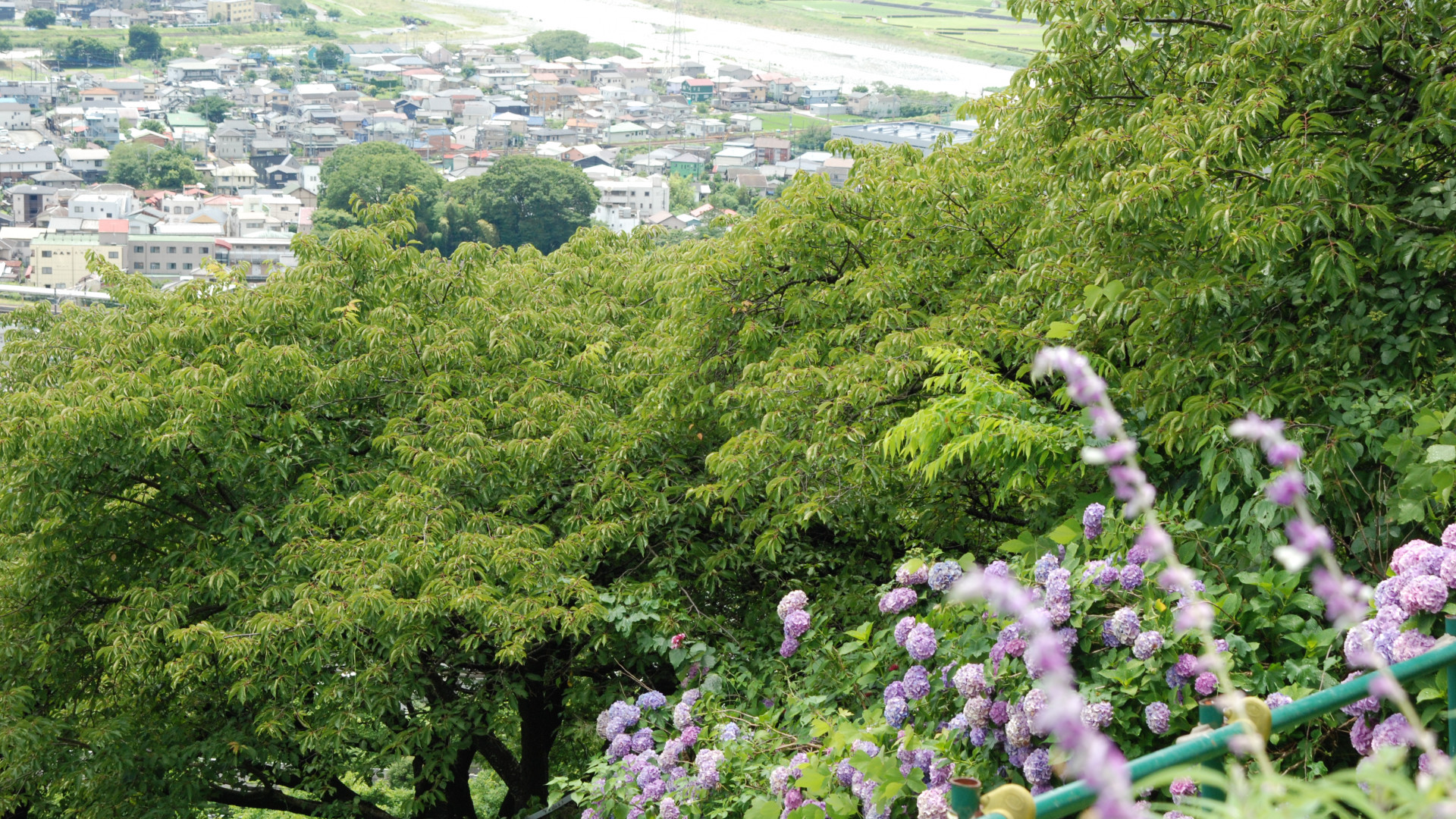 西平畑公園