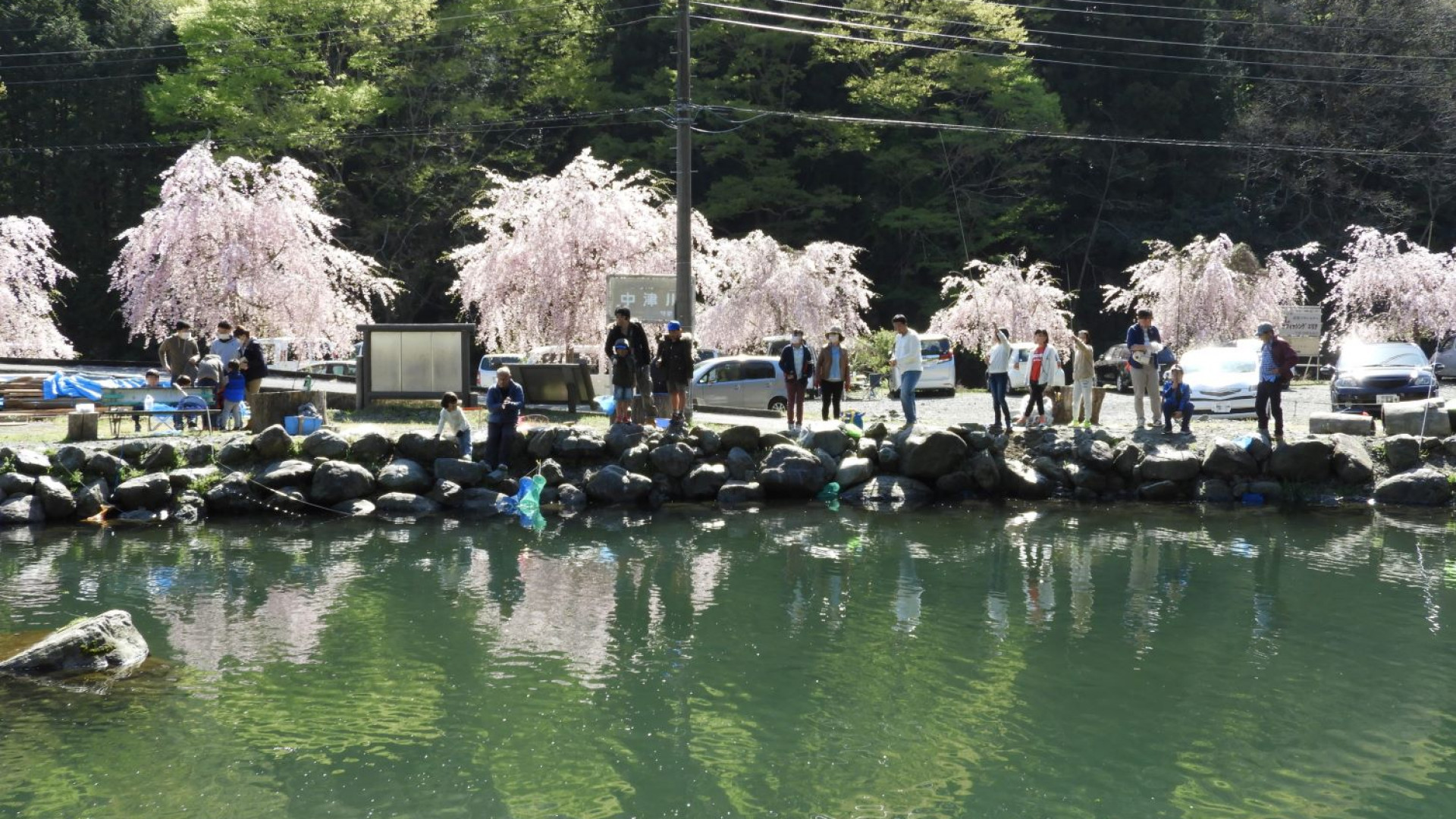 Câu cá hồi tại dòng nước trong ở Yadoriki 