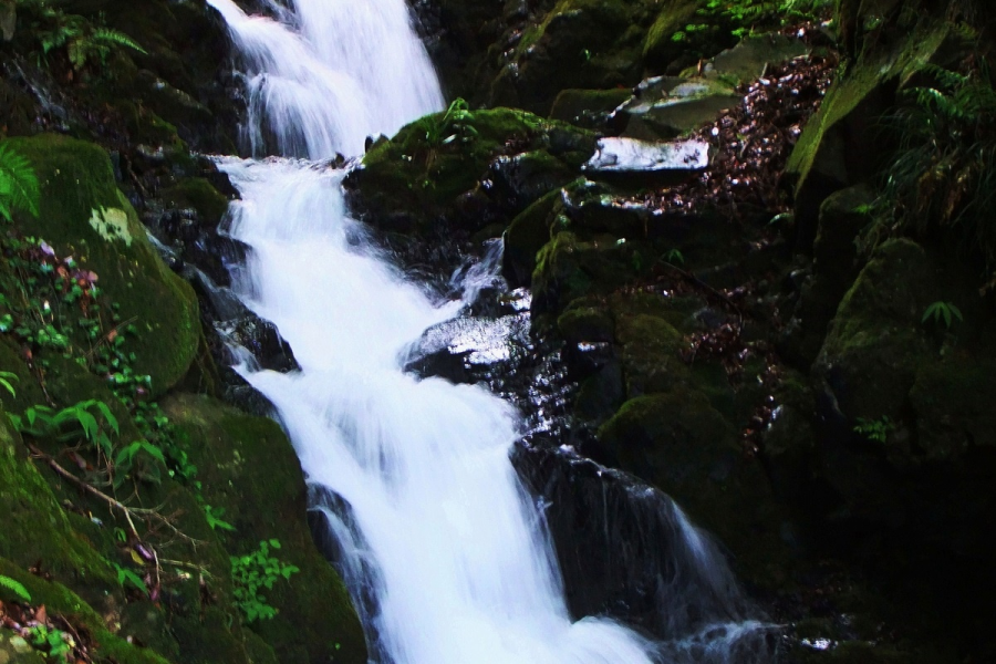 Naturwanderung: bewundern Sie die fünf großen Wasserfälle von Yugawara