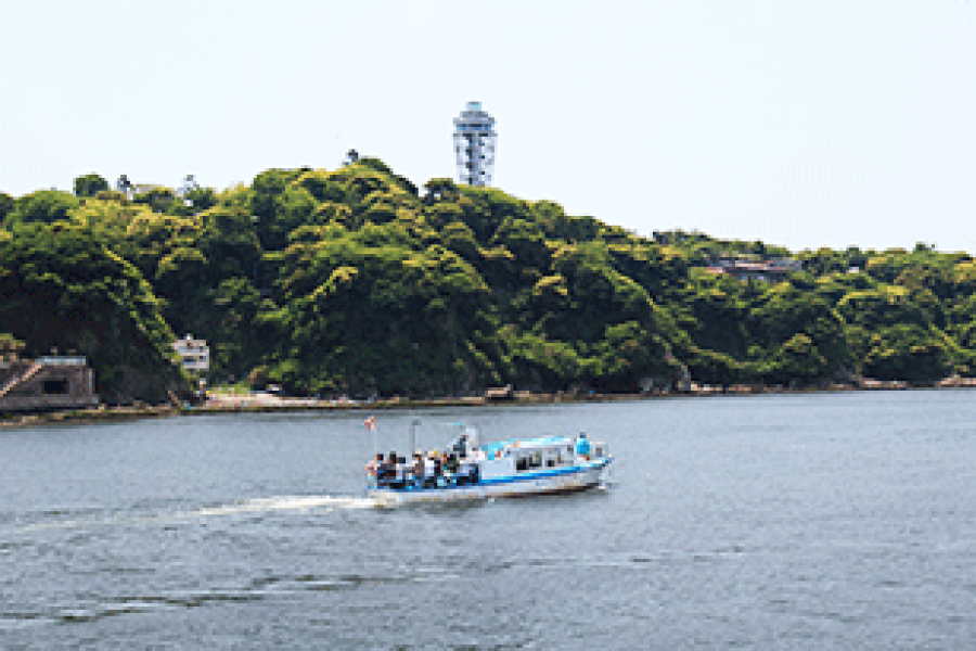 Experimenta Enoshima y Kamakura: Un Día en la Naturaleza