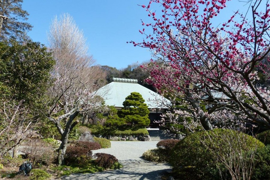 Le temple Jōmyō-ji