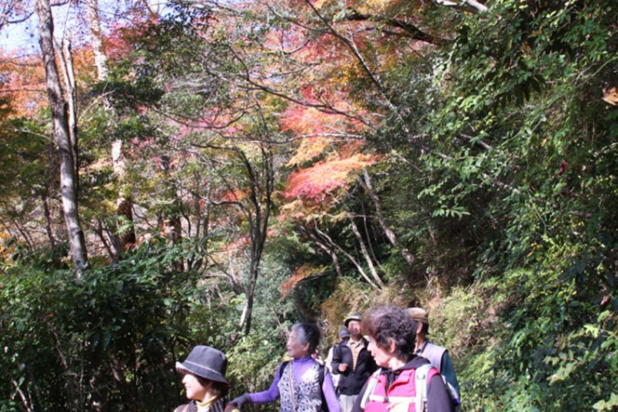 Ikemine Hiking Course