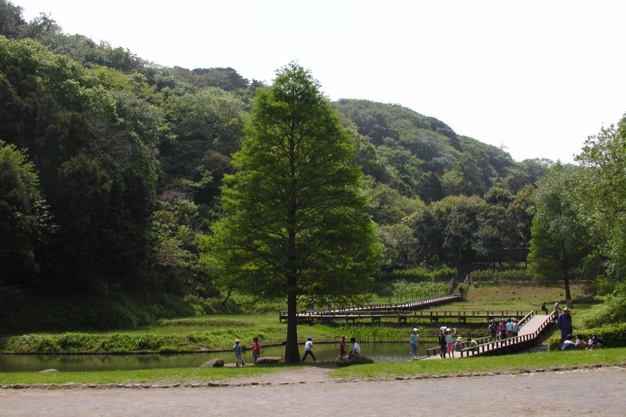 Shinbayashi Park (Spaziergang / Vogelbeobachtung)