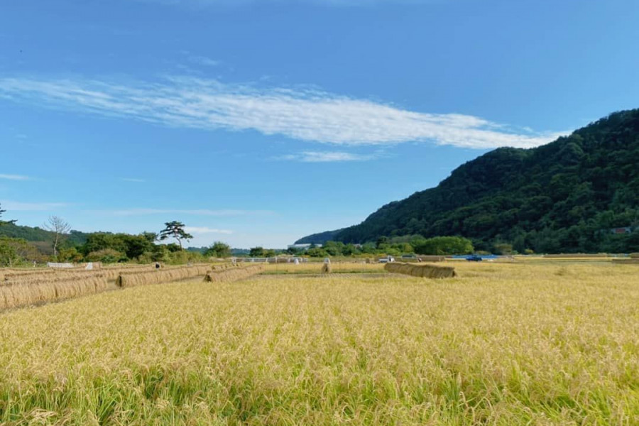 Rural scenery of Kamiooshima Nakasu and Hayamajima