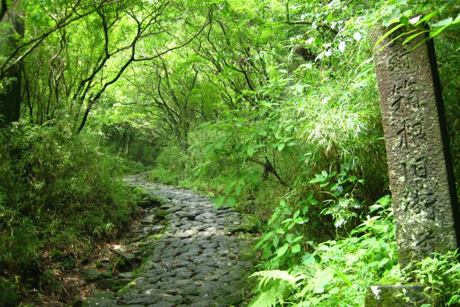 Tuyến xa lộ cổ xưa Hakone