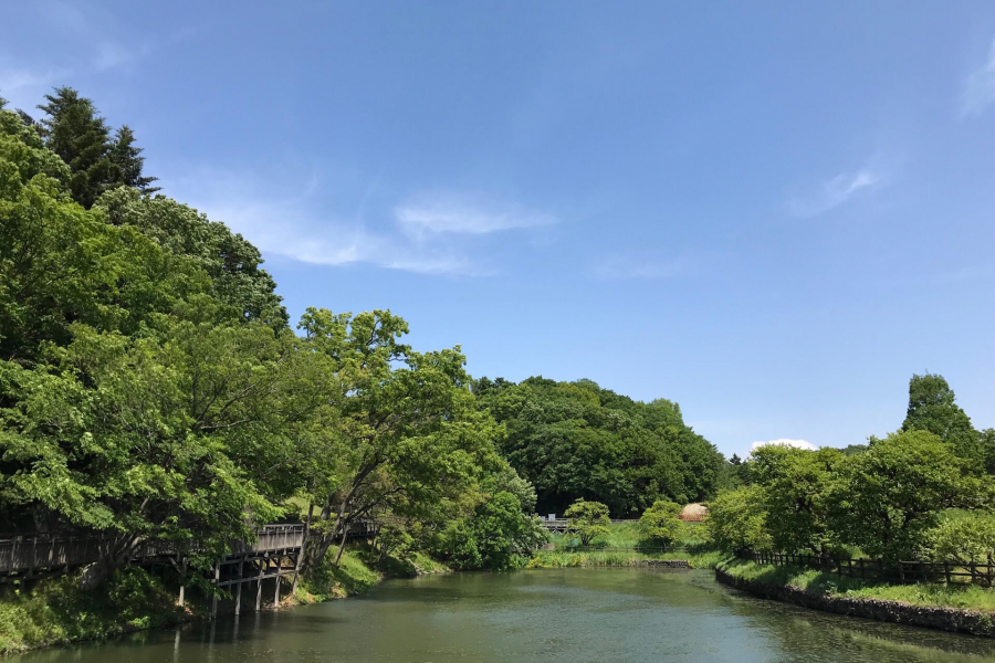 Le parc Hayanoseichi et l’étang Nanatsu-Ike