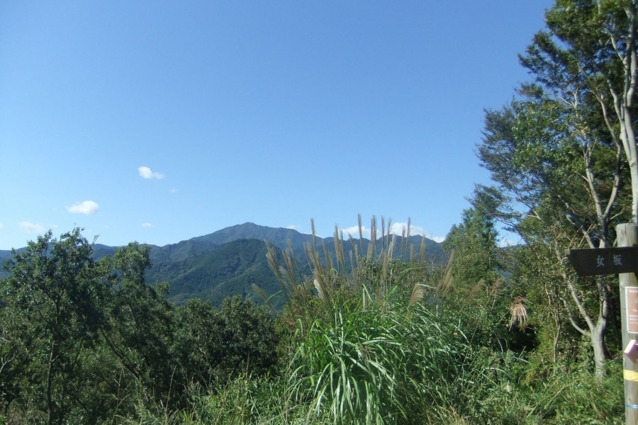 Observatoire du parc forestier de Hakusan