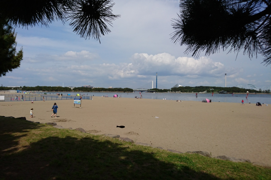 海滨公园