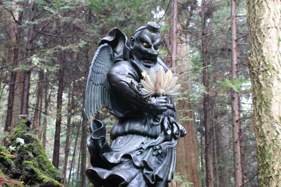 Discover the Zen Spiritual Experience with a Volunteer Guide in Saijoji Temple