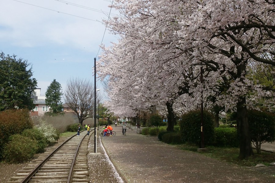 Ichinomiya, le "Sentier de Verdure"