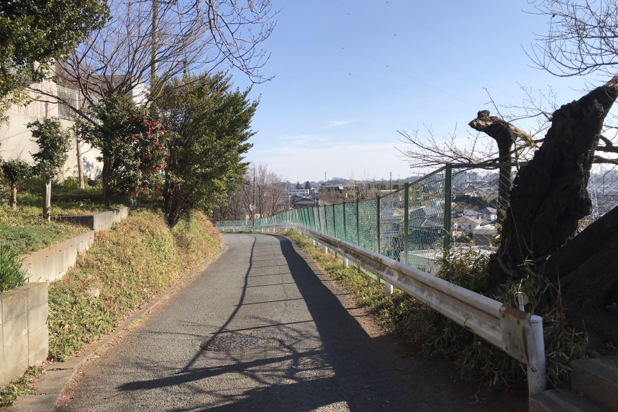 勝坂（麻生區北部）／富士山景觀路線
