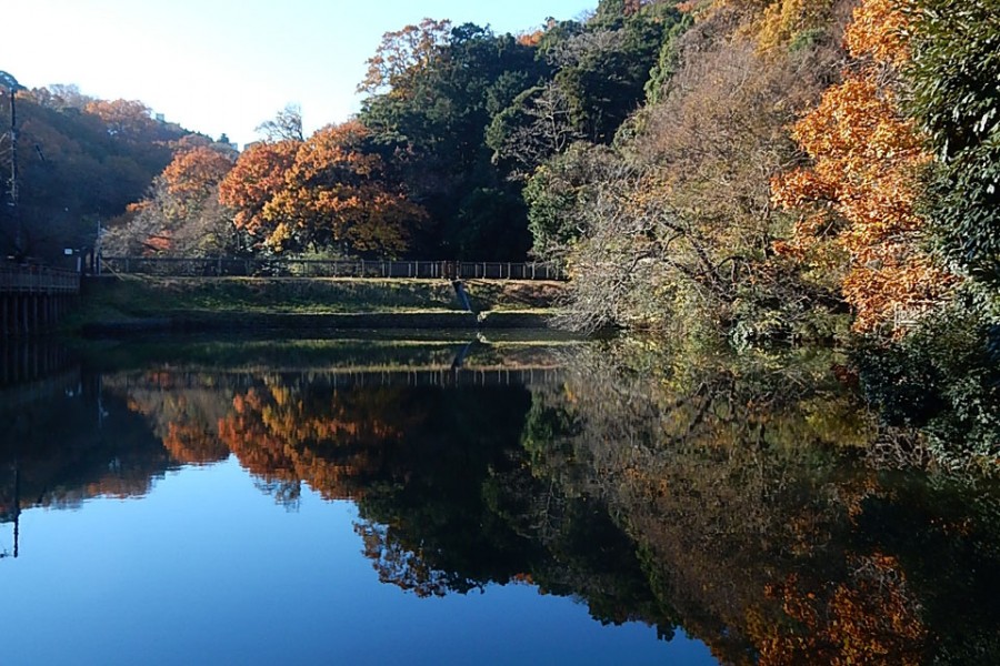 La vie à Enoshima et Kamakura : une journée en pleine nature