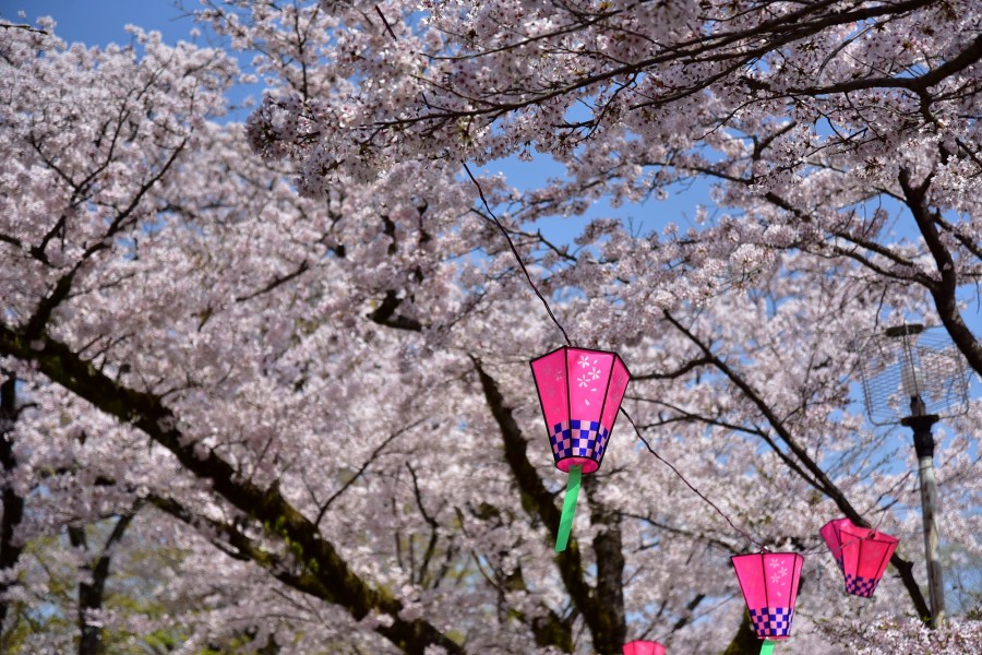 飯山白山森林公園 目的地 Tokyo Day Trip 東京から神奈川への日帰り旅行