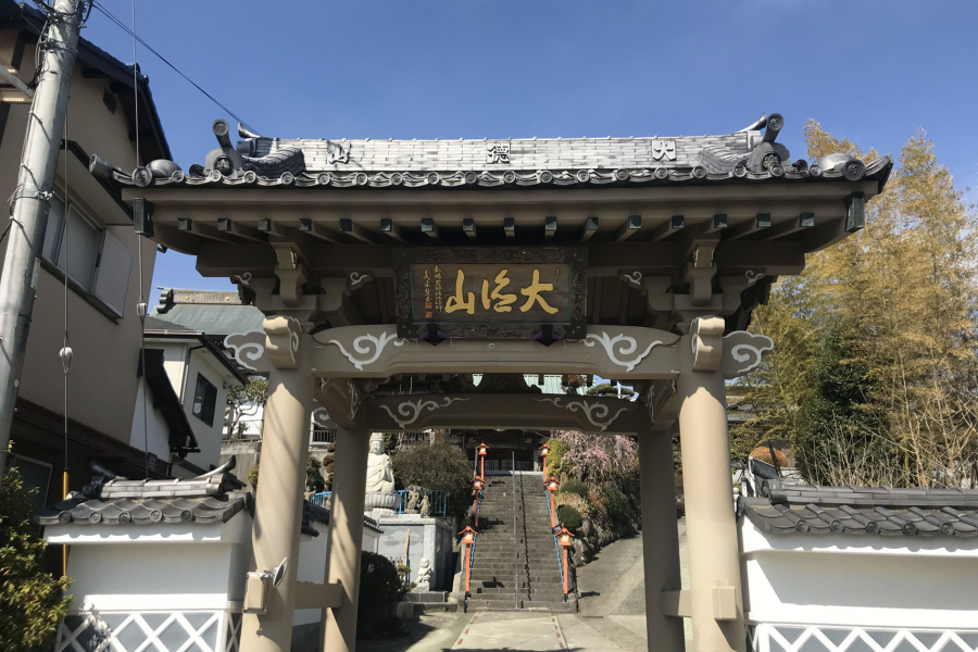 Kuno Ruins and Odawara Hachifukujin Temples Tour 