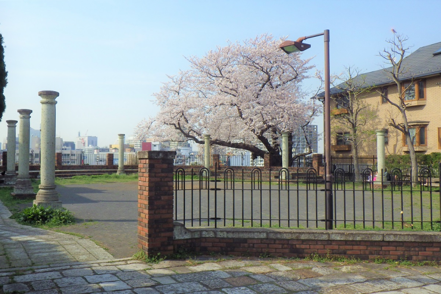 Yokohama Hyakudan Park