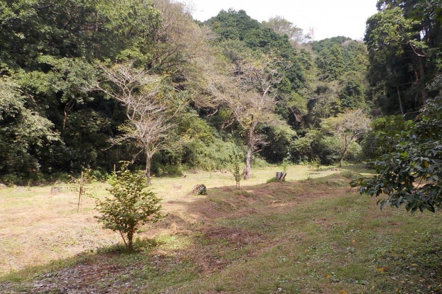 Forêt des citoyens de la ville de Senoue - Jardin Daimaru