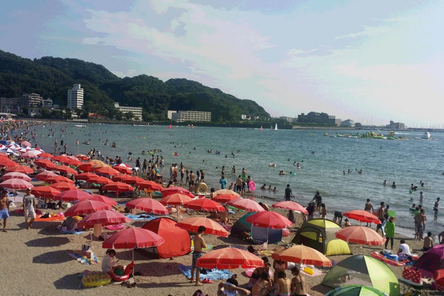 หาดซูชิ