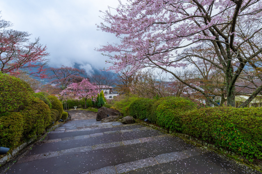 Parque Hakone Gora