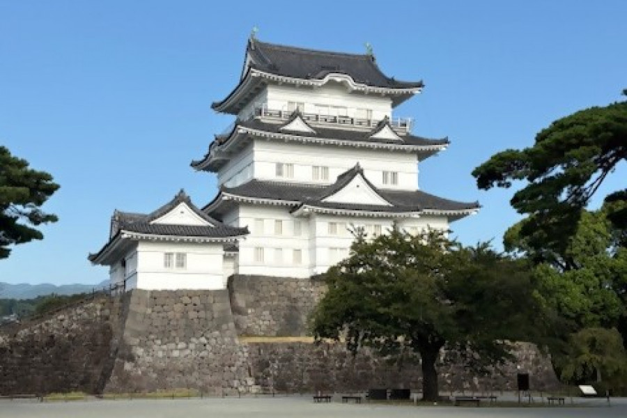 Odawara Castle and City Walking Tour with a Volunteer Guide