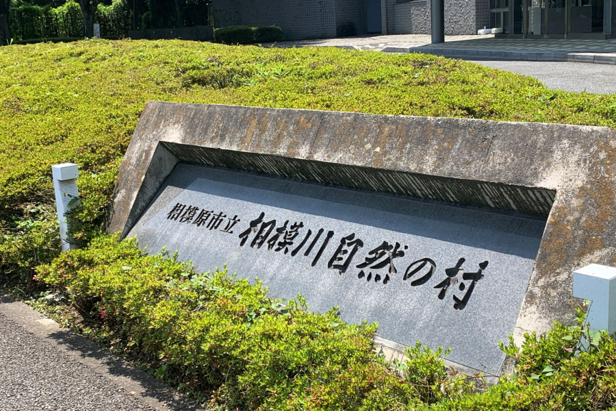 Sagami River Nature Village (Oshima Cherry Blossom Viewing)