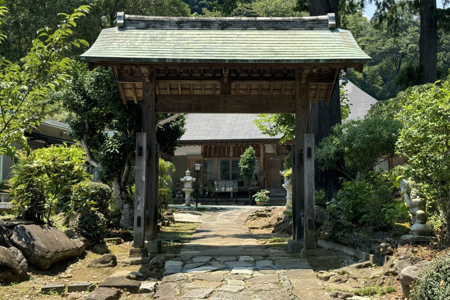 Cerezos llorones Chokozan Shotai-ji (Flores de cerezo)