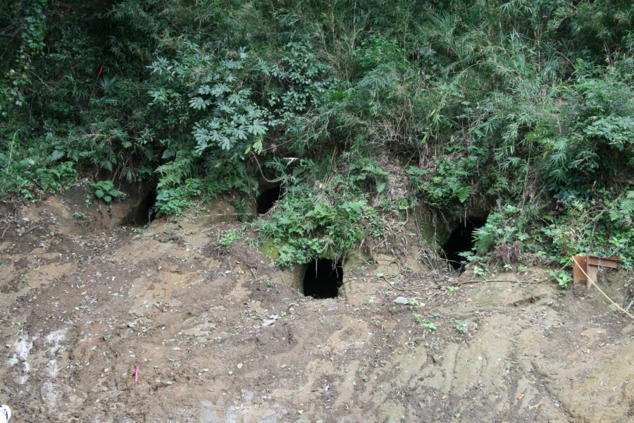 이쿠타 쵸쟈아나 매장 동굴 군락