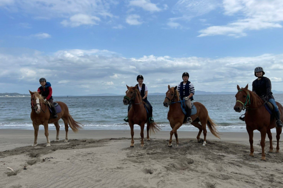 三浦海岸的骑马农场