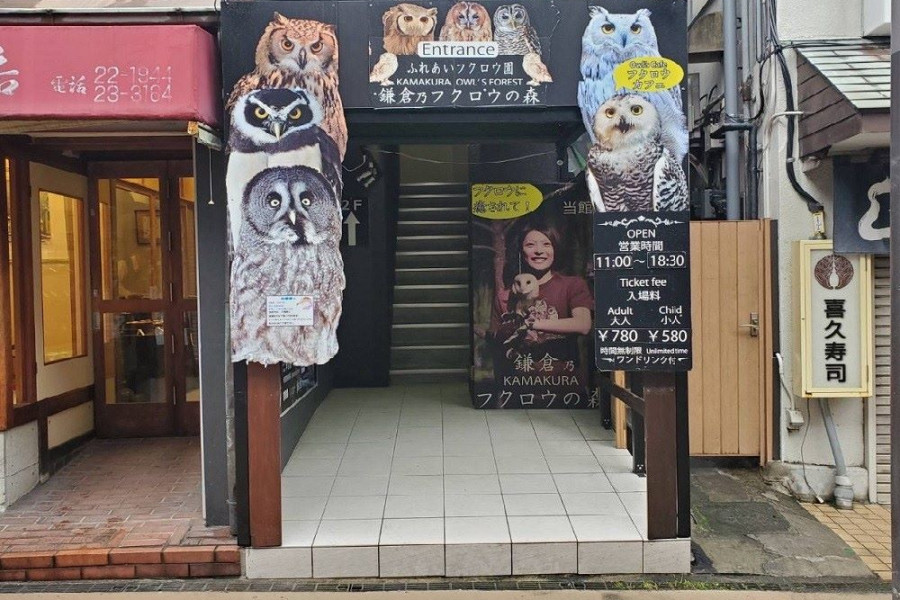 Kamakura Owl's Forest
