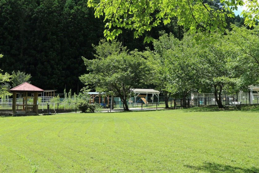 야도리키 나나쓰보시 강아지 공원 & 카페 