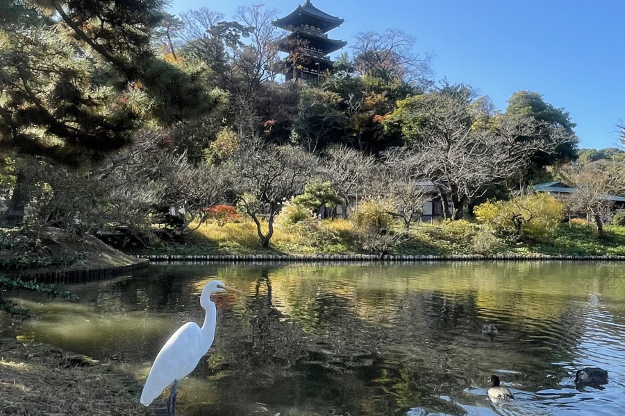 三溪園