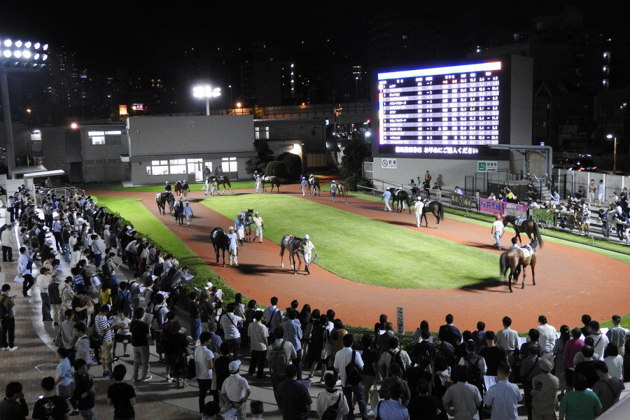 Kawasaki Racecourse (Watch races)