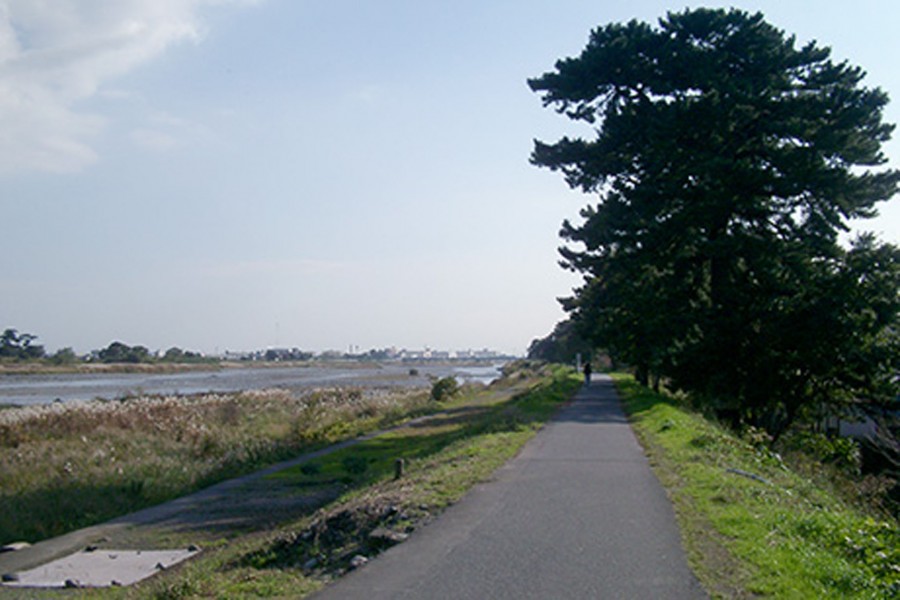 Con đường thông Ninomiya Sontoku no Yukari