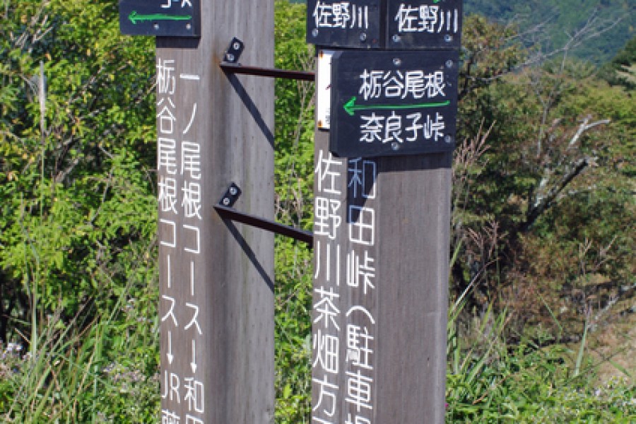 จากภูเขาจินบะสู่ฟูจิโนะ: การเดินป่าข้ามผ่านศิลปะ